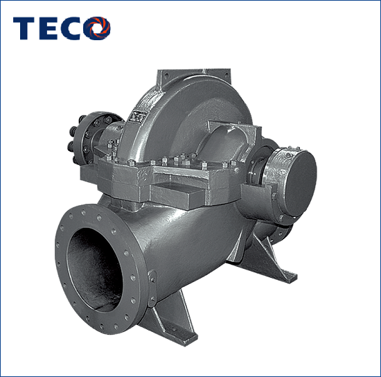 Bơm Đầu Hút Đôi TECO DH